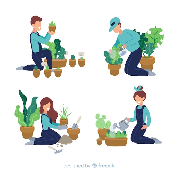 People taking care of plants