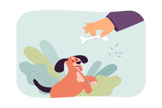 Person giving bone to dog flat vector illustration. Owner feeding happy pet, taking care of health. Food, friendship, domestic animal concept for banner, website design or landing web page