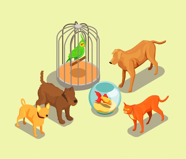 Free Vector pet shop isometric background