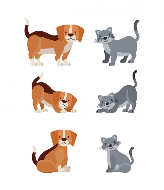 Free vector pet and veterinary