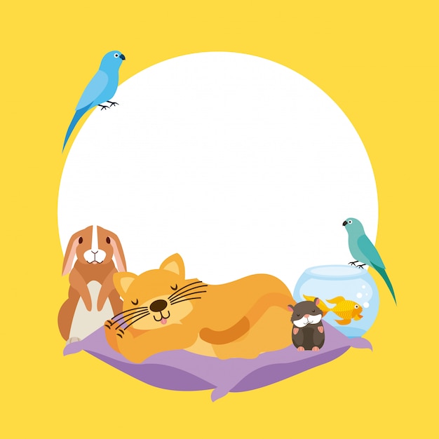 Free Vector pet and veterinary