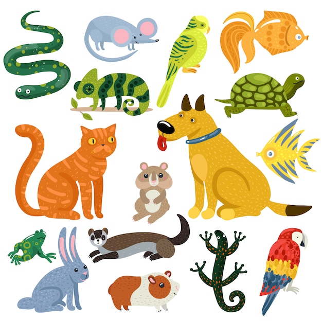 Pets Colorful Icons Set