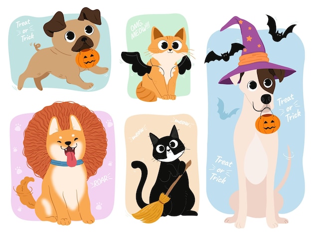 Pets dressed in halloween costumes