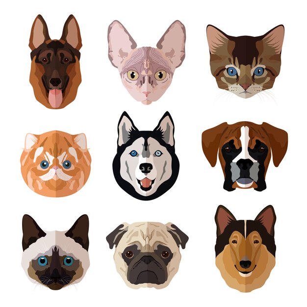 Pets portrait flat icons set with cats dogs kittens and puppies isolated vector illustration