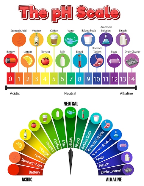 Free Vector the ph scale of common chemicals