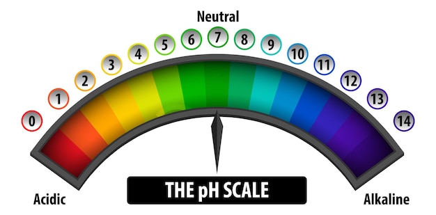 Free Vector the ph scale diagram on white background