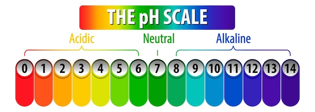 The pH Scale diagram on white background