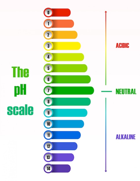 Free Vector the ph scale diagram