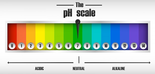 Free Vector the ph scale diagram