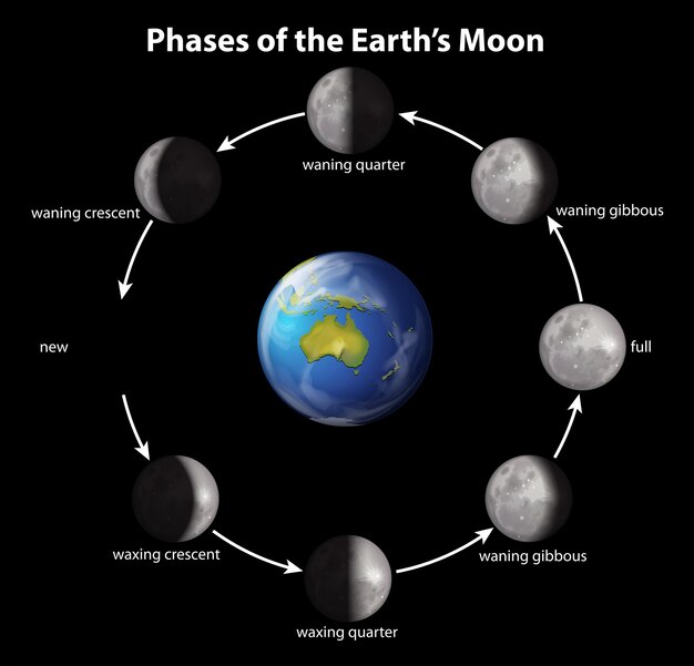 Phases of the Earths moon