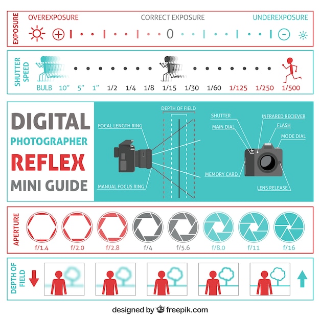 Free Vector photographer infographic