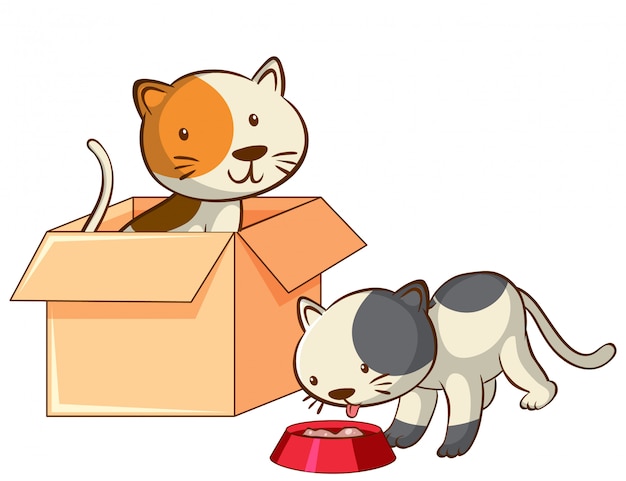  picture of two cats in the box