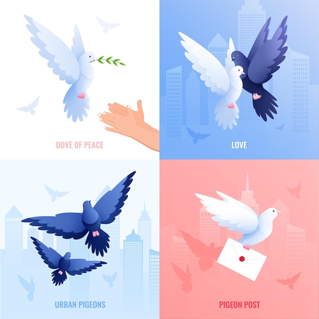 Pigeons flat 2x2 design concept with set of square compositions with dove of peace and post