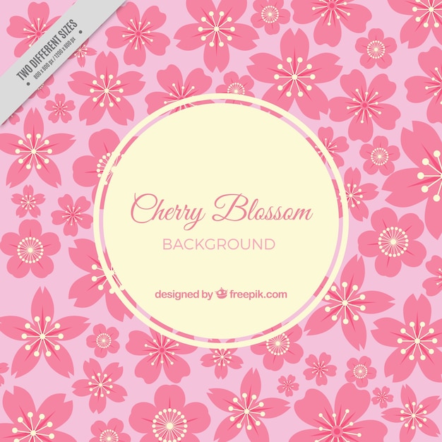 Pink cherry blossom background