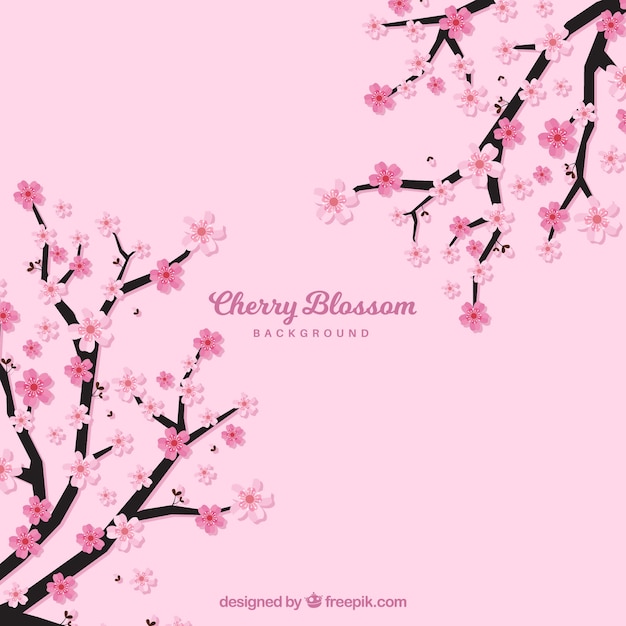 Pink cherry blossom background