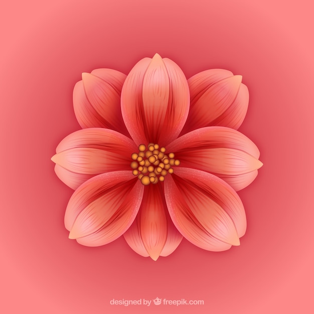 Free Vector pink exotic flower