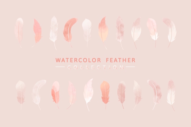 Pink feather background