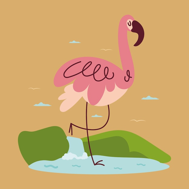 Pink flamingo bird