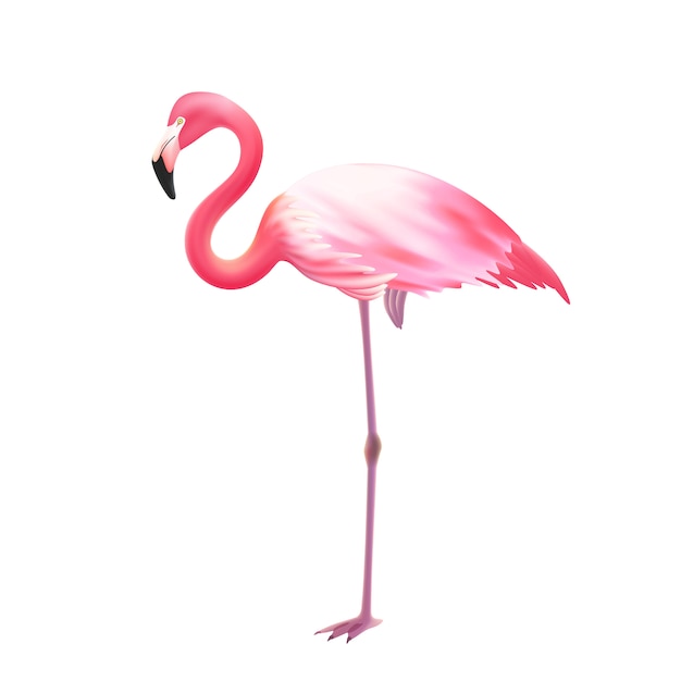 Pink Flamingo One Leg Realistic