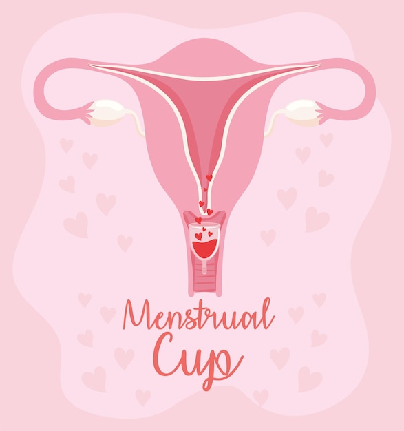 pink poster with menstrual cup in uterus