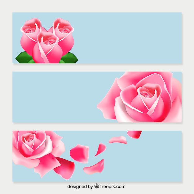 Free Vector pink roses banners