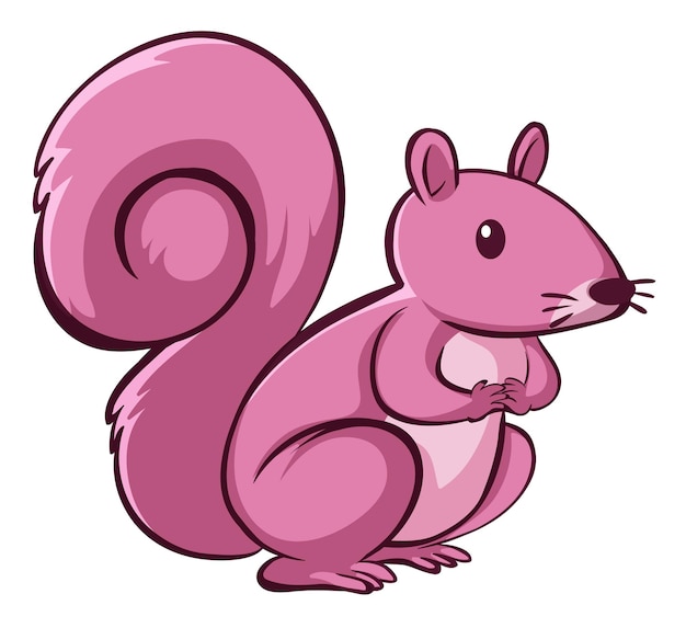 Pink squirrel on white background