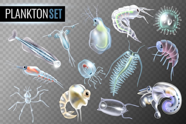 Plankton transparent set