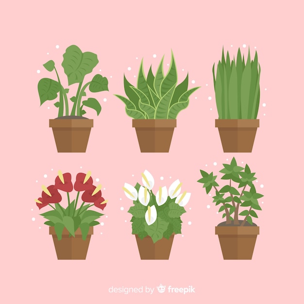 Free Vector plant collection