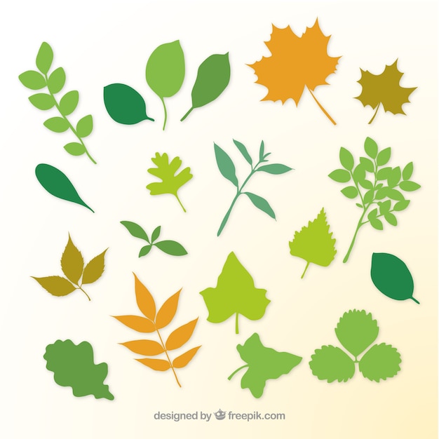 Free Vector plant leaves and branches silhouettes