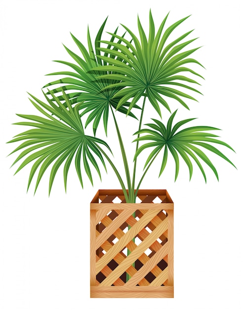 Free Vector plant in pot with soil isolated