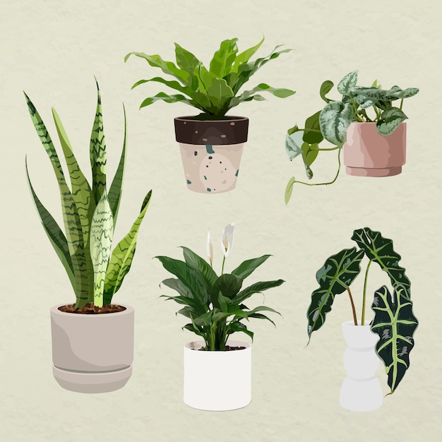 Free Vector plant vector art, houseplant set in flower pots