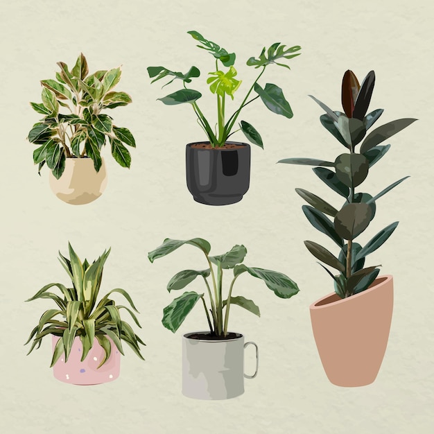 Free Vector plant vector art, houseplant set in flower pots