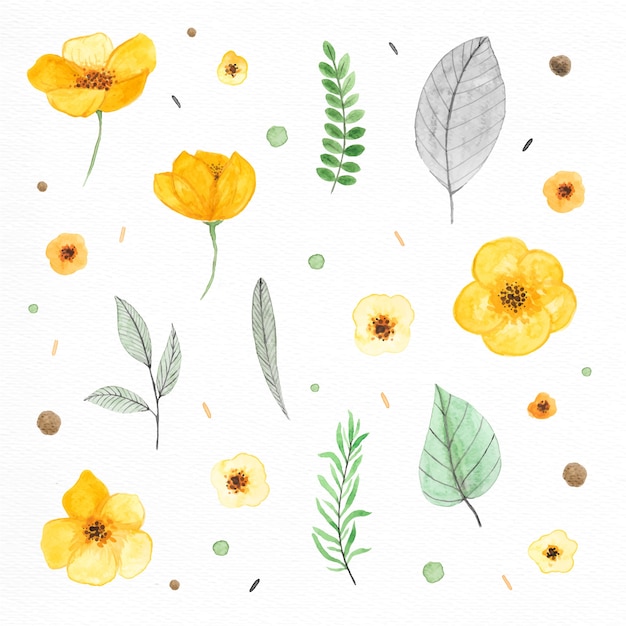 Plants and flowers painted with watercolors