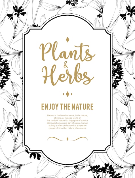 Plants and herbs background. Element for design or invitation card