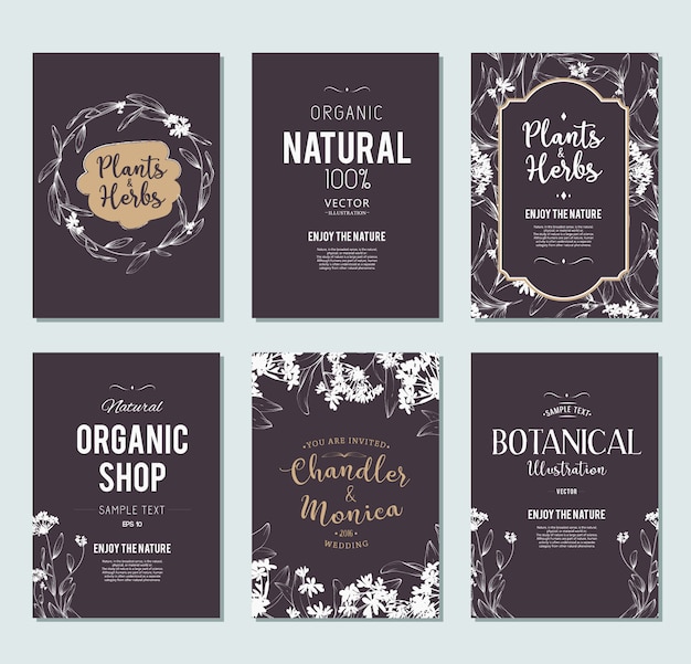 Free Vector plants and herbs banners set. element for design or invitation card