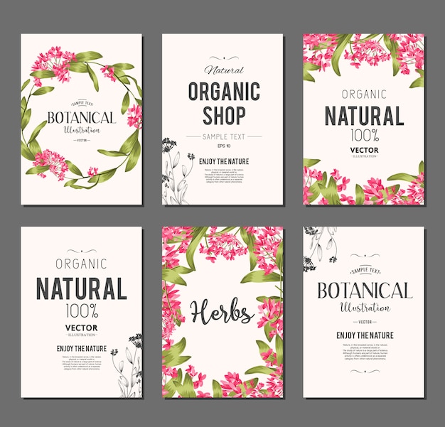 Plants and herbs banners set. Element for design or invitation card