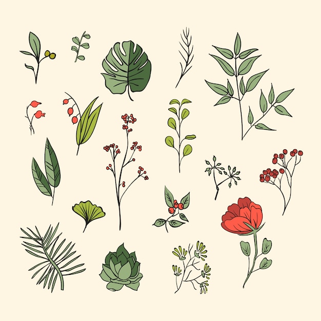 Plants and herbs icons set. Elements for design or invitation card