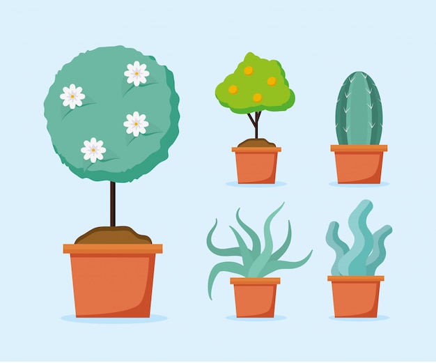 Free Vector plants in pots