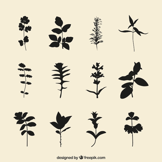 Free Vector plants silhouettes