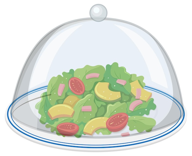 Plate of green salad with glass cover on white background