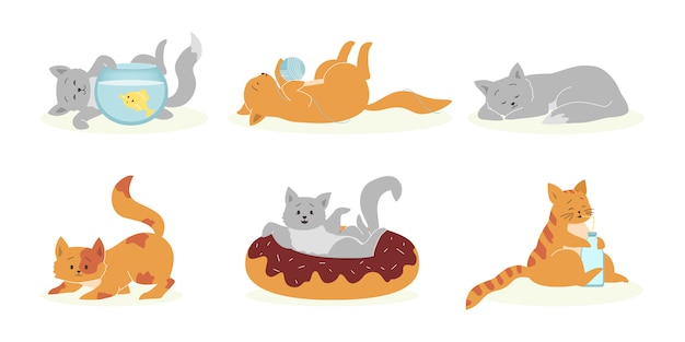 Playful gray and orange cats set