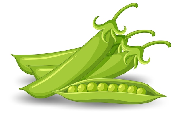 Free Vector pod of green peas on white background