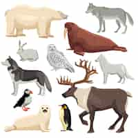 Free vector polar animals set