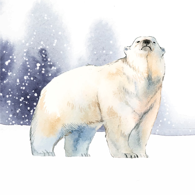 Free Vector polar bear