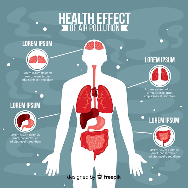 Pollution on human body infographic