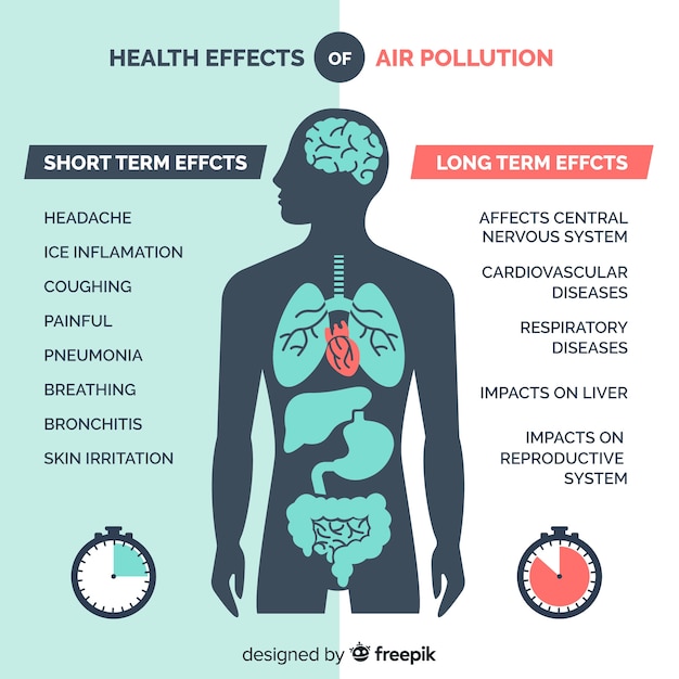 Pollution on human body infographic