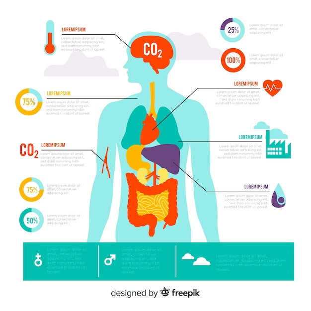 Free Vector pollution on human body infographic