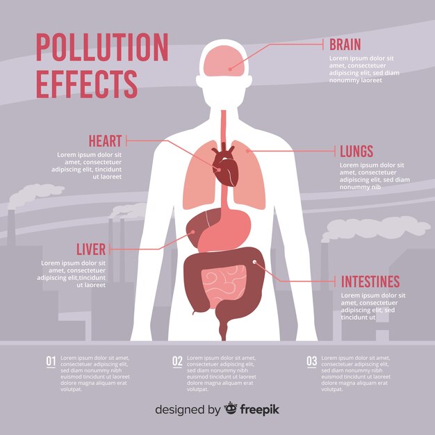 Pollution on human body infographic