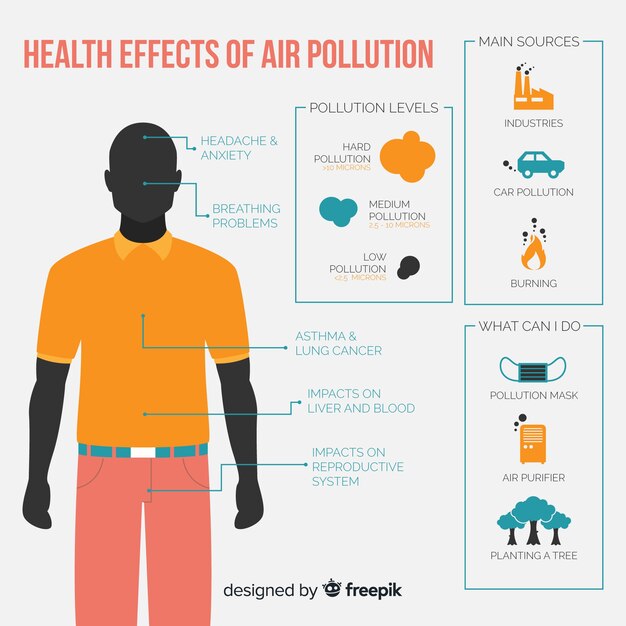 Pollution on human body infographic