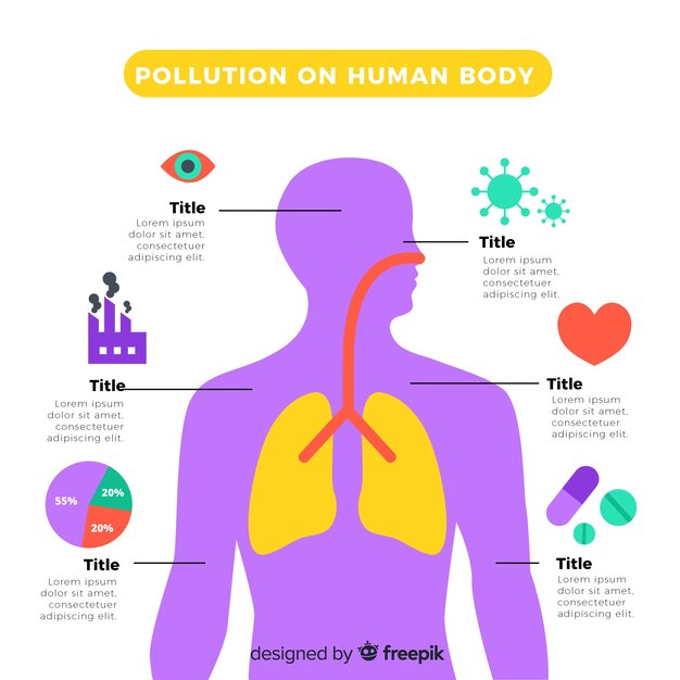 Pollution on human body infographic